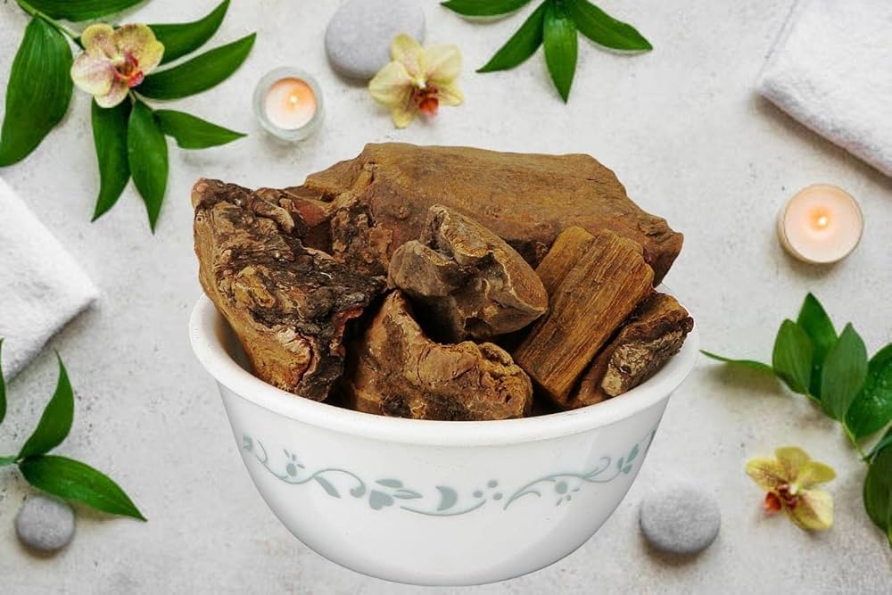 Ravend Chini (Rheum emodi)