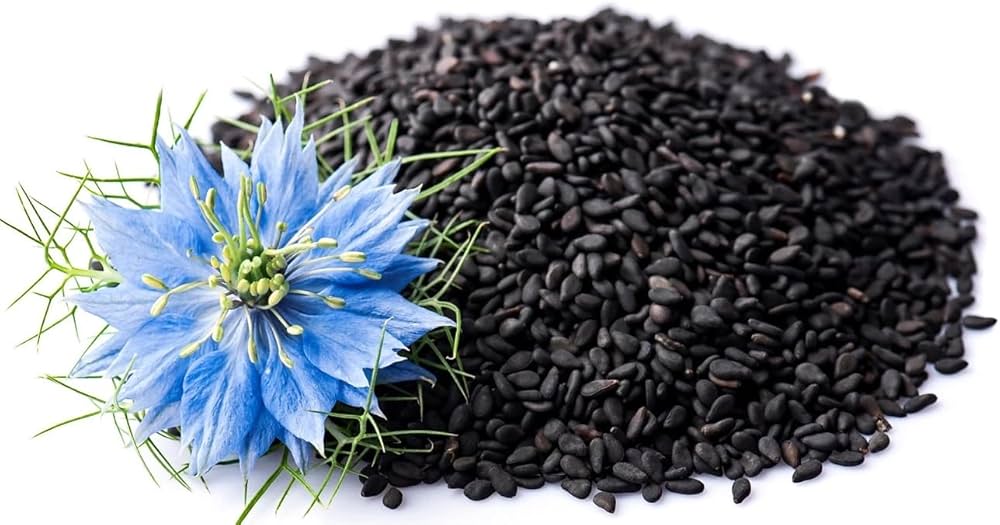 Upakunchika (Nigella sativa / Kalonji)